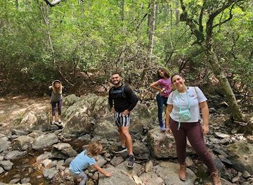 north-carolina/uwharrie-national-forest/attraction/wood-run-trailhead