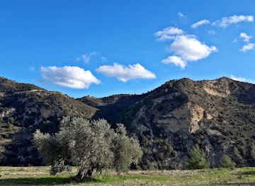 cyprus/machairas-mountains/attraction/mountain-korfi