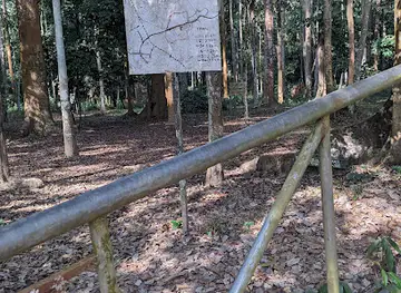 YBobiri ButterTfly Entrance Gate