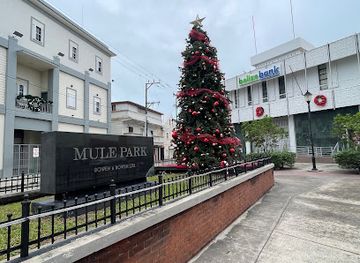 belize/orange-walk-district/attraction/mule-park