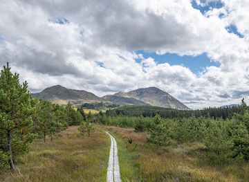 ireland/connemara-national-park/attraction/lettershanbally-nature-walk