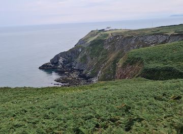 ireland/mizen-head/attraction/propeller-stone-of-steamship-irada