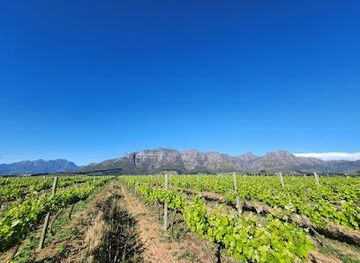 south-africa/cape-town/attraction/stellenrust-wine-estate