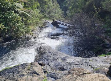 new-zealand/bay-of-plenty/attraction/kaiate-falls