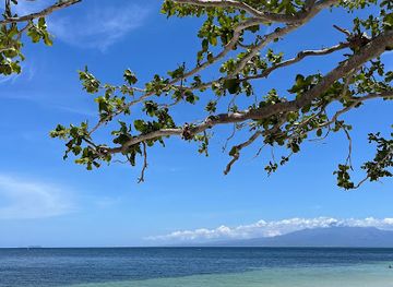 philippines/siquijor/attraction/mervi-beach