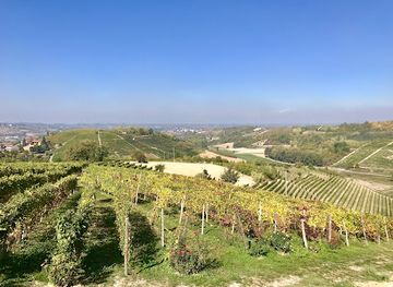 italy/langhe/attraction/hilberg-pasquero