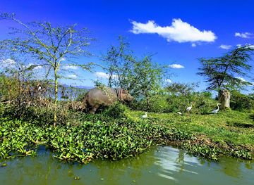 kenya/naivasha/attraction/watamu-boat-rides-naivasha
