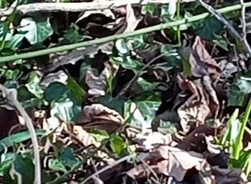 italy/trentino-alto-adige/attraction/aussichtspunkt