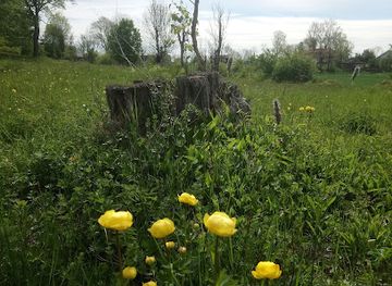 sweden/orebro/attraction/latorpsangarna