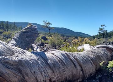 oregon/cascade-lakes-scenic-byway/attraction/lava-cast-forest-day-use-interpretive-site