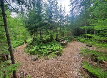 minnesota/gunflint-trail/attraction/devil-track-wildflower-sanctuary