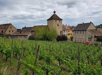 france/alsace-wine-route/attraction/porte-de-munster-obertor