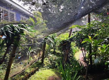 costa-rica/san-jose/attraction/spirogyra-butterfly-garden