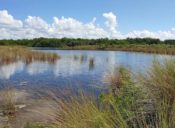 florida/sanibel-island/attraction/bailey-tract