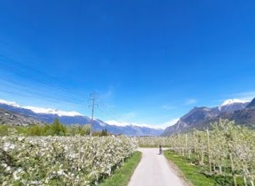 switzerland/crans-montana/attraction/lac-de-pramont