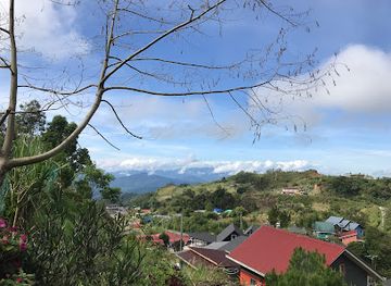 malaysia/kinabalu-national-park/attraction/d-mesilau-rabbit-garden