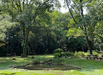 singapore/labrador-nature-reserve/attraction/stream-garden