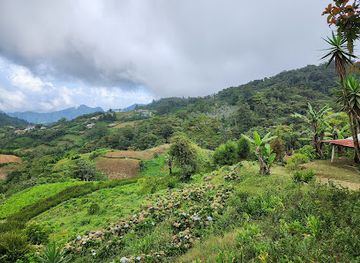honduras/cusuco-national-park/attraction/paseo-las-hortensias
