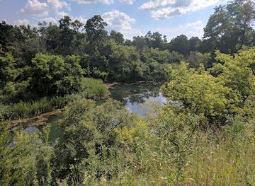 illinois/elgin/attraction/bluff-spring-fen