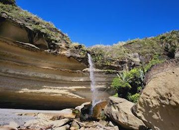 new-zealand/greymouth/attraction/truman-track