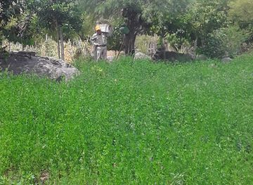 argentina/cafayate/attraction/finca-las-andreas