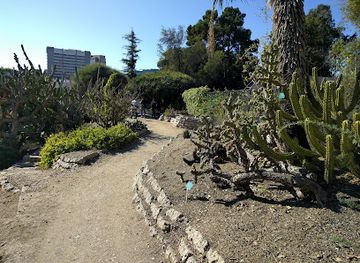 UCLA Mathias Botanical Garden