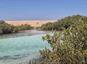 egypt/ras-muhammad-national-park/attraction/qanat-almanjaruf