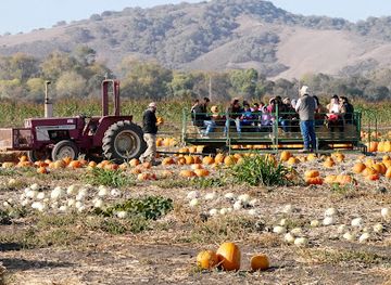 california/salinas-valley/attraction/the-farm-in-salinas