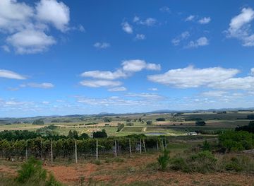 uruguay/central-region/attraction/winery-and-vineyards-alto-de-la-ballena