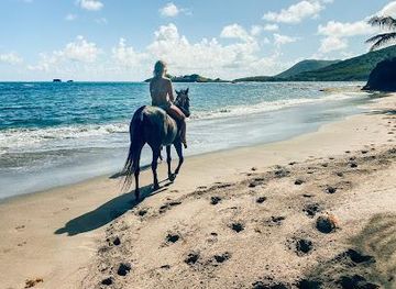 saint-lucia/dauphin/attraction/sandy-hoofs-st-lucia