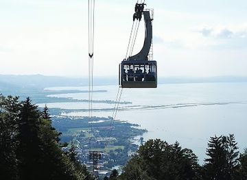 austria/bregenz/attraction/alpenwildpark-pfander