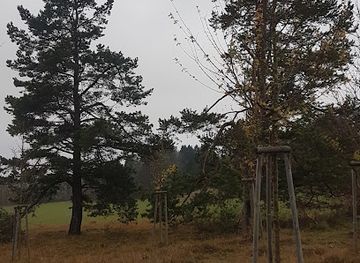 germany/hohenzollern-castle/attraction/baumkreis-onstmettinge-9-1-100