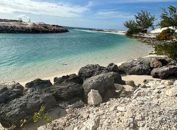 turks-and-caicos-islands/providenciales/attraction/turtle-cove
