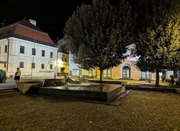 romania/baia-mare/attraction/the-sigil-fountain