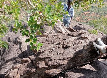 kenya/mount-elgon-national-park/attraction/tott-view-point
