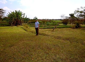 malawi/dzalanyama-forest-reserve/attraction/events-garden