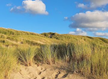 netherlands/egmond-aan-zee/attraction/strand-egmond-aan-zee