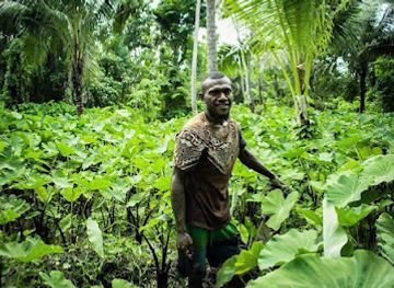 vanuatu/aore-island/attraction/vunausi-conservation-enviromental-organisation