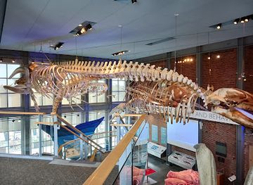 massachusetts/south-coast/attraction/new-bedford-whaling-museum