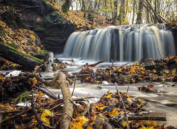latvia/teici-nature-reserve/attraction/nurmizu-udenskritums