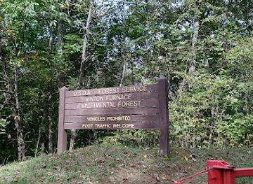 ohio/wayne-national-forest/attraction/vinton-furnace-state-forest