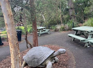 australia/central-coast/attraction/the-big-frilled-lizard