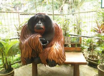 malaysia/penang/attraction/bukit-merah-orang-utan-island-foundation