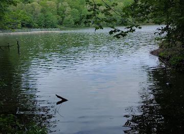 virginia/mount-rogers-national-recreation-area/attraction/rural-retreat-fishing-lake