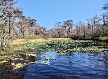south-carolina/lowcountry/attraction/waccamaw-national-wildlife-refuge