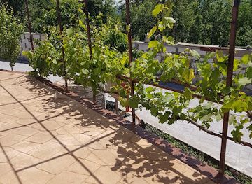 romania/ramnicu-valcea/attraction/casa-elefantu