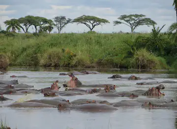 FRANKVISION SAFARIS & CULTURAL TOURS LIMITED