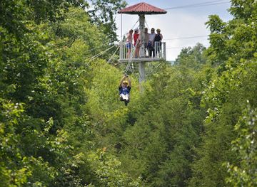 missouri/branson/attraction/adventure-ziplines-of-branson