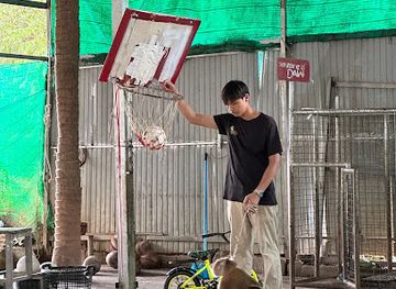thailand/phuket/attraction/kathu-monkey-show