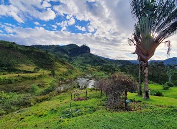 madagascar/ranomafana-national-park/attraction/ranomafana-arboretum